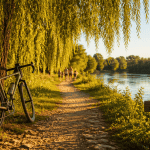 chemin du bac à traille sentier vélo rhône