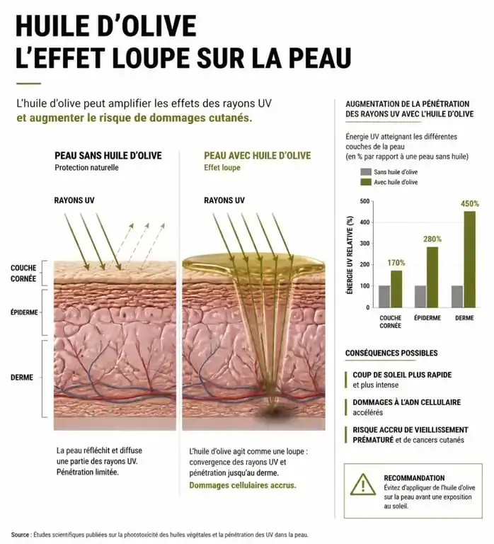 Infographie expliquant l'effet loupe de l'huile d'olive sur la peau et les risques de bronzage rapide