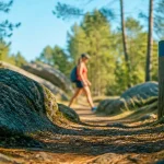Randonnée Fontainebleau : sentier forestier balisé, rochers de grès et mousse humide