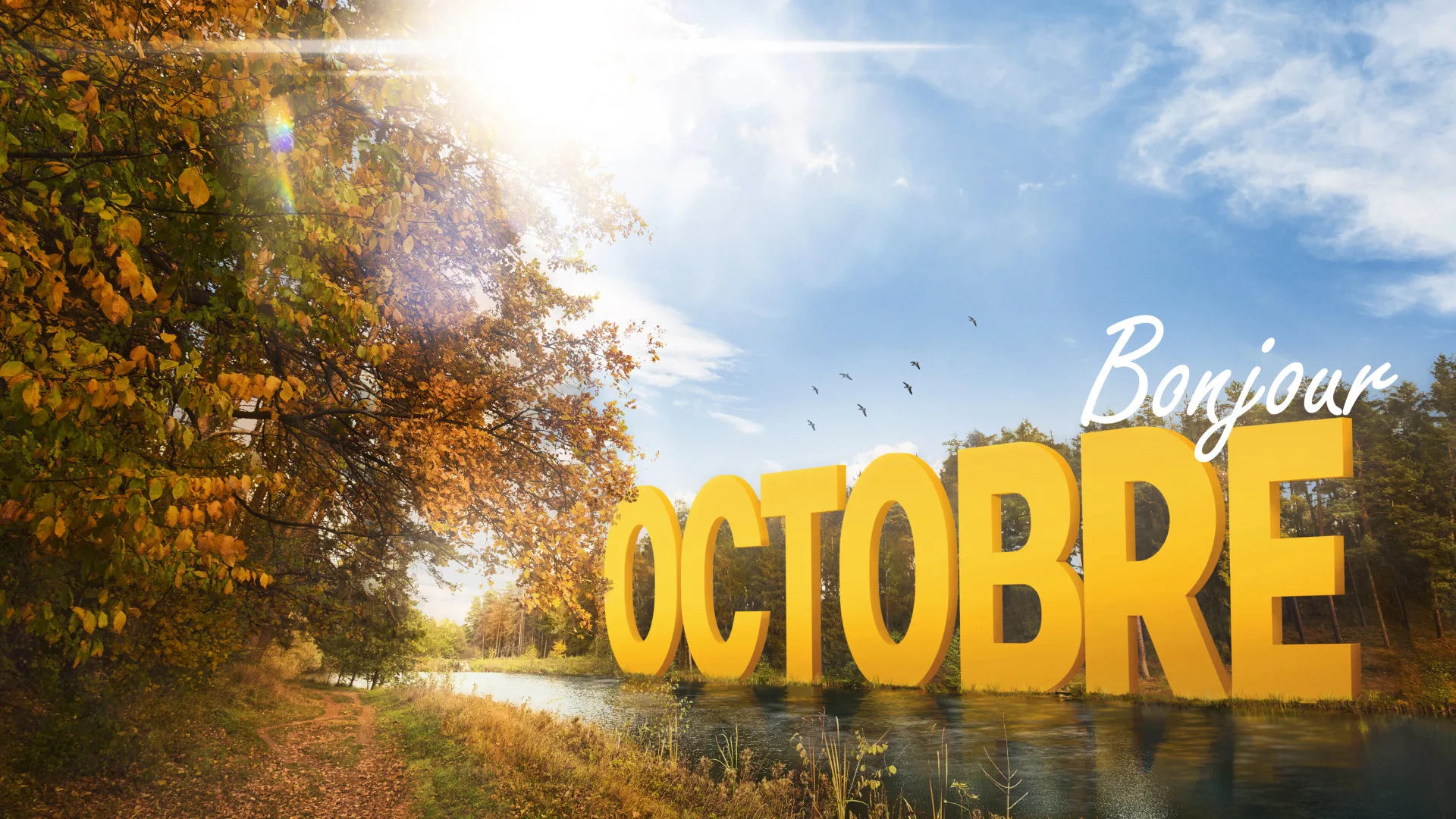 Octobre en France : l’arrière-saison entre douceur du sud, forêts flamboyantes et prémices de l’hiver !